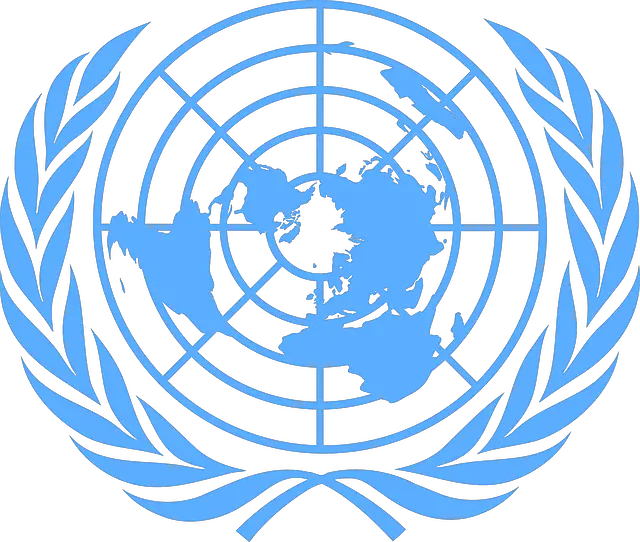 Lorganisation Des Nations Unies Onu Intégrer Sciences Po 